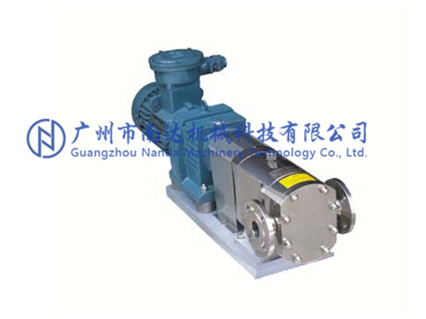 不銹鋼轉(zhuǎn)子泵 不銹鋼轉(zhuǎn)子泵